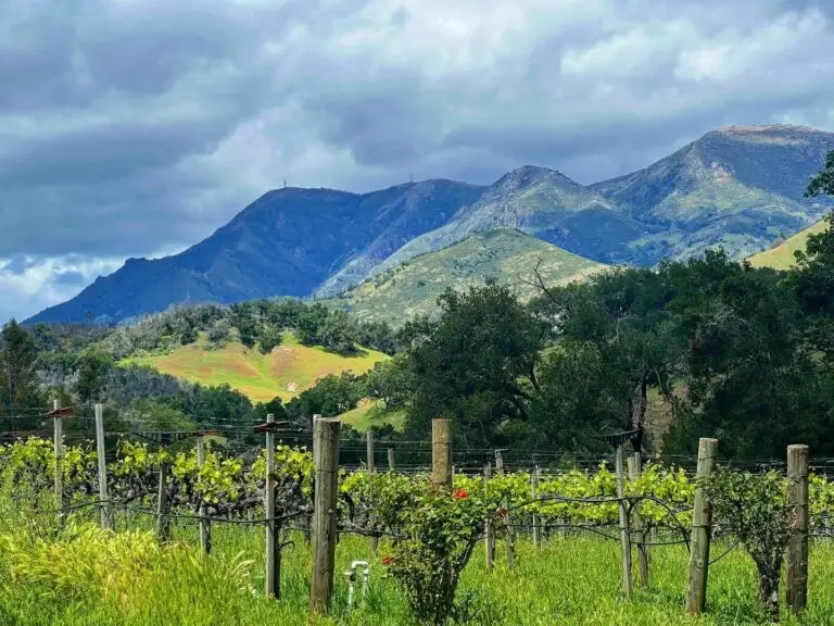Sonoma, CA