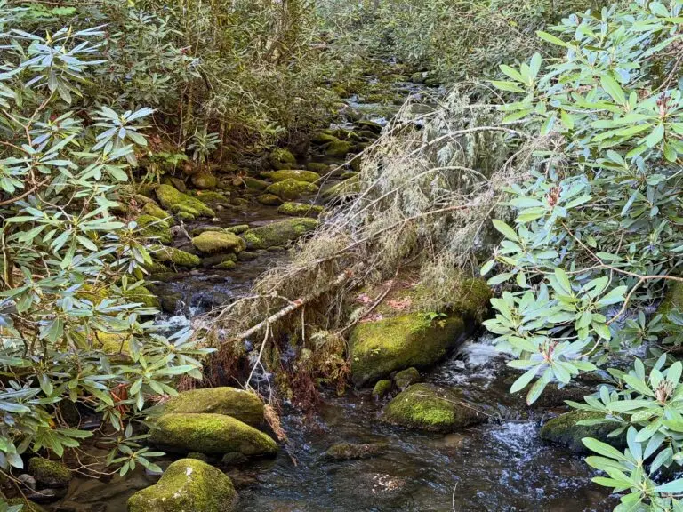 Smoky Mountain National Park