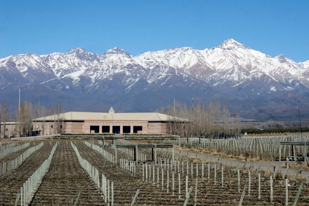 image of a winery in Argentina