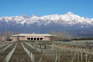 image of a winery in Argentina